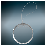 Clear Glass Ornament with Silver String