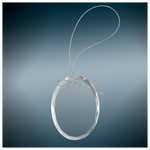Clear Glass Ornament with Silver String