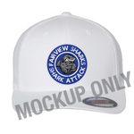 Fairview Sharks Caps & Visors