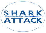 Fairview Sharks Car Magnet