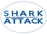 Fairview Sharks Car Magnet